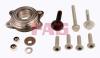 FAG 713610390 Wheel Bearing Kit