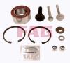 FAG 713610410 Wheel Bearing Kit