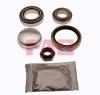 FAG 713650420 Wheel Bearing Kit