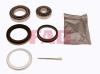 FAG 713660170 Wheel Bearing Kit