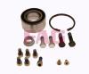 FAG 713667480 Wheel Bearing Kit