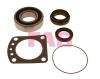 FAG 713690180 Wheel Bearing Kit