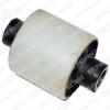 DELPHI TD481W Control Arm-/Trailing Arm Bush