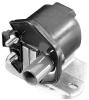 BERU 0040100298 Ignition Coil