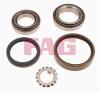 FAG 713667380 Wheel Bearing Kit