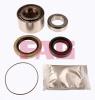 FAG 713619290 Wheel Bearing Kit