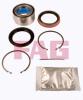 FAG 713613170 Wheel Bearing Kit