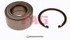 FAG 713618180 Wheel Bearing Kit