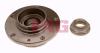 FAG 713667160 Wheel Bearing Kit