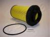 ASHIKA 30-ECO001 (30ECO001) Fuel filter