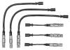 BERU 0300891479 Ignition Cable Kit