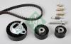 INA 530010210 Timing Belt Kit