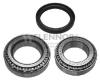 FLENNOR FR290151 Wheel Bearing Kit