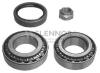 FLENNOR FR671218 Wheel Bearing Kit