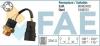 FAE 38220 Temperature Switch, radiator fan