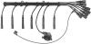 BERU 0300890219 Ignition Cable Kit