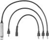BERU 0300890576 Ignition Cable Kit