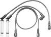BERU 0300891121 Ignition Cable Kit
