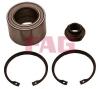 FAG 713644100 Wheel Bearing Kit