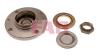 FAG 713640260 Wheel Bearing Kit