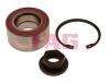FAG 713678110 Wheel Bearing Kit