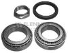 FLENNOR FR191049 Wheel Bearing Kit