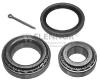 FLENNOR FR590981 Wheel Bearing Kit