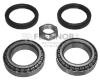 FLENNOR FR670493 Wheel Bearing Kit