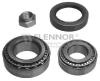FLENNOR FR671381 Wheel Bearing Kit