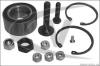 VAICO V10-0310 (V100310) Wheel Bearing Kit