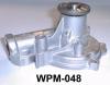 AISIN WPM-048 (WPM048) Water Pump