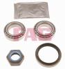 FAG 713678070 Wheel Bearing Kit