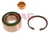 FAG 713615190 Wheel Bearing Kit