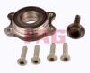 FAG 713610480 Wheel Bearing Kit