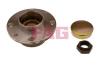 FAG 713690230 Wheel Bearing Kit