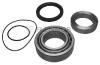 FLENNOR FR191041 Wheel Bearing Kit