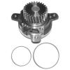 BERGKRAFT BK4207711WP Water Pump