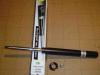 BILSTEIN PNE-3135 (PNE3135) Shock Absorber