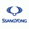 SSANGYONG 1110501116 Guides, timing chain