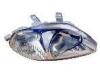 BODY PARTS HDCVC96-001-R (HDCVC96001R) Replacement part