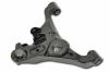 BODY PARTS NNPAF05-810-L (NNPAF05810L) Replacement part