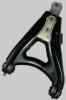 BODY PARTS RNR1988810R Replacement part