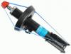 BOGE 32-F43-A (32F43A) Shock Absorber