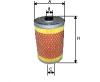 GOODWILL FG1055 Fuel filter