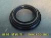 GREAT WALL 3001130K01 Replacement part
