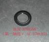 GREAT WALL SC1701023 Replacement part