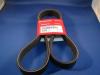 HONDA 38920P8CA02 V-Ribbed Belts