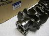 HYUNDAI / KIA (MOBIS) 2311038050 Replacement part