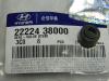 HYUNDAI / KIA (MOBIS) 22224-38000 (2222438000) Seal, valve stem