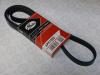 GATES 6PK1555 V-Ribbed Belts